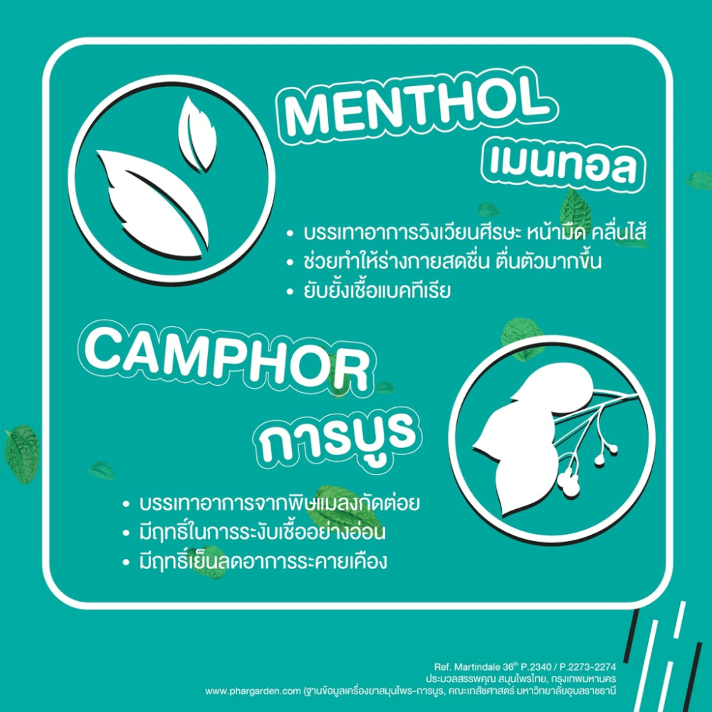 ยาดม เป๊ปเปอร์มิ้นท์ ฟิลด์ กลิ่นออริจินอล ขนาด 2 ซีซี จำนวน 24 ชิ้น_2